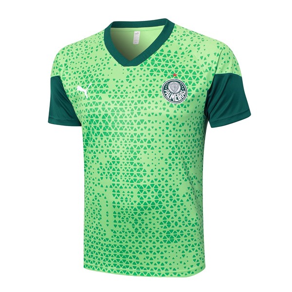 Maglia Formazione Palmeiras 2024-2025 Verde